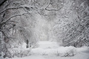 long road in the snow